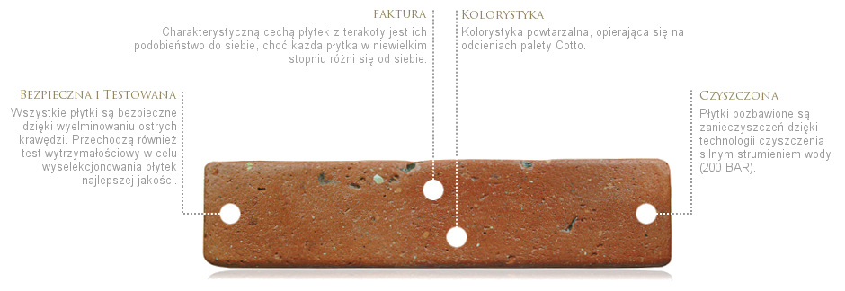 terakota-krakowska-300