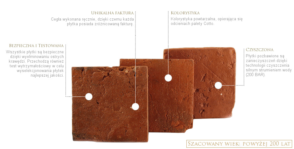 terakota-krakowska-300