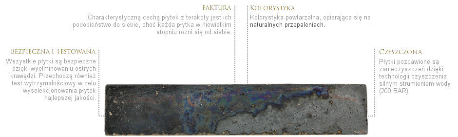 terakota-krakowska-300