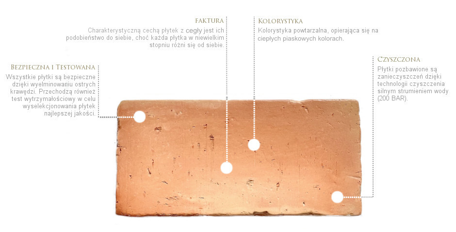 terakota-krakowska-300